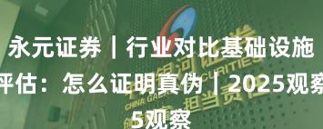 永元证券｜行业对比基础设施评估：怎么证明真伪｜2025观察